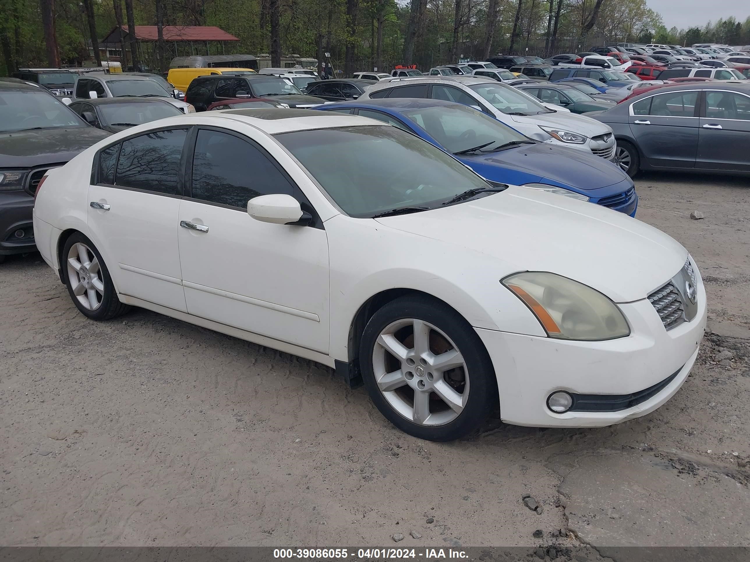 nissan maxima 2006 1n4ba41e86c843674