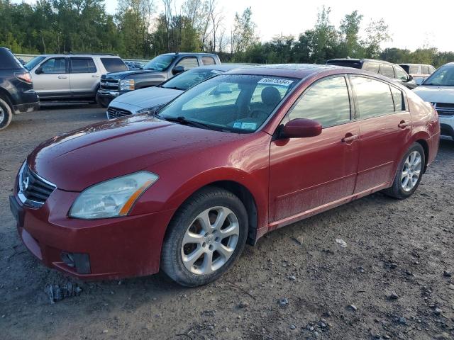 nissan maxima se 2007 1n4ba41e87c808800