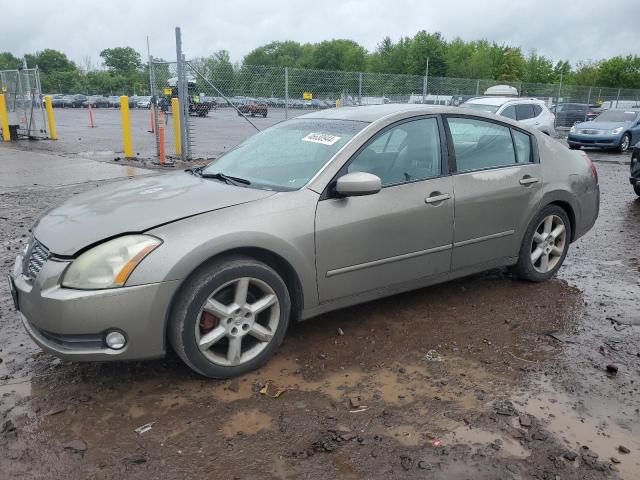 nissan maxima 2006 1n4ba41e96c800381