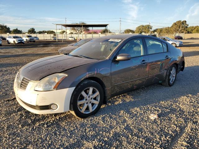 nissan maxima se 2006 1n4ba41ex6c806559