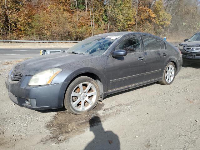 nissan maxima se 2008 1n4ba41ex8c809268