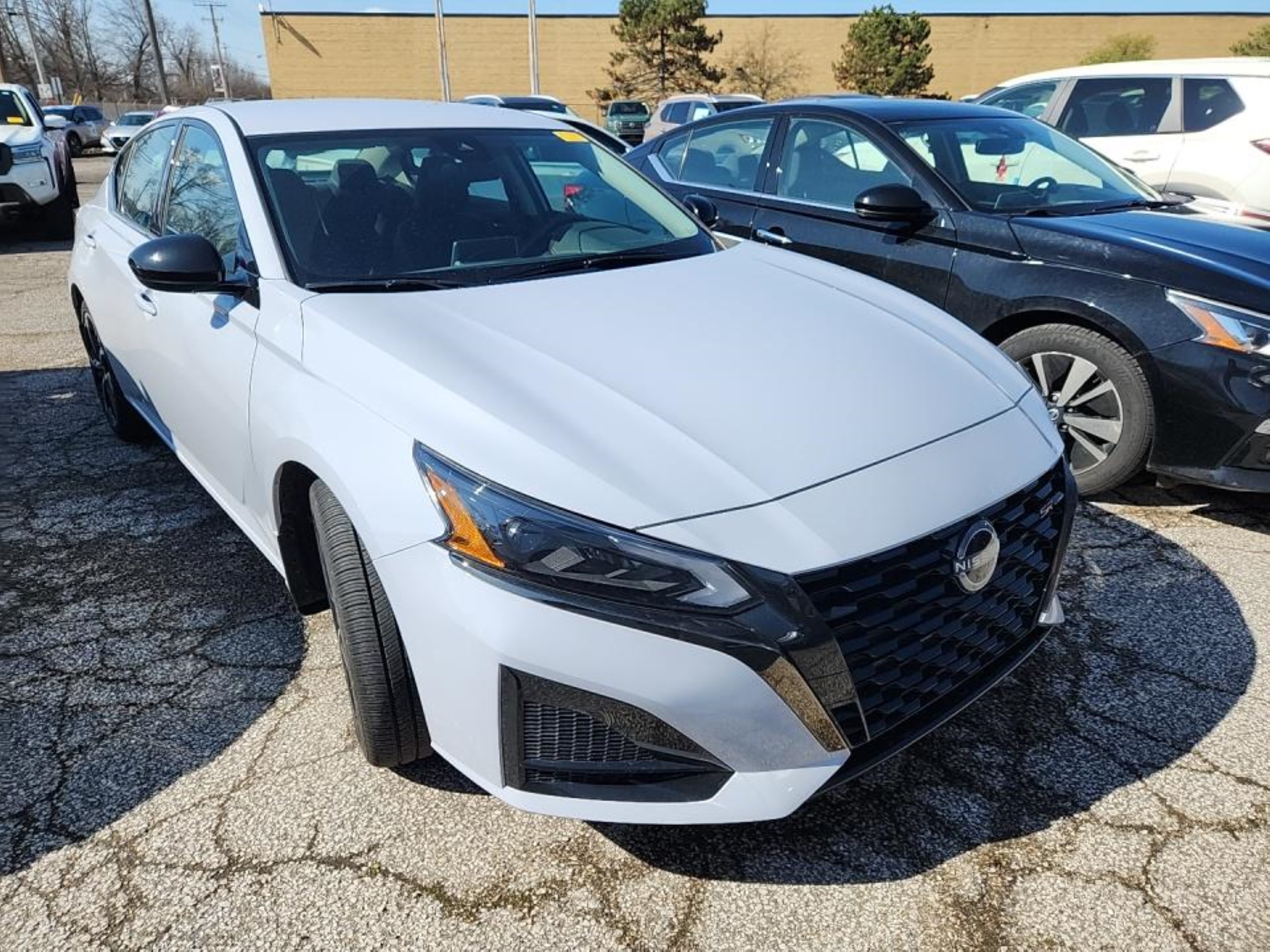 nissan altima 2023 1n4bl4cv0pn311056