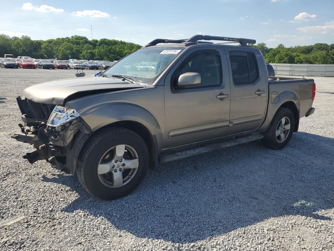 nissan navara (frontier) 2005 1n6ad07w05c436627