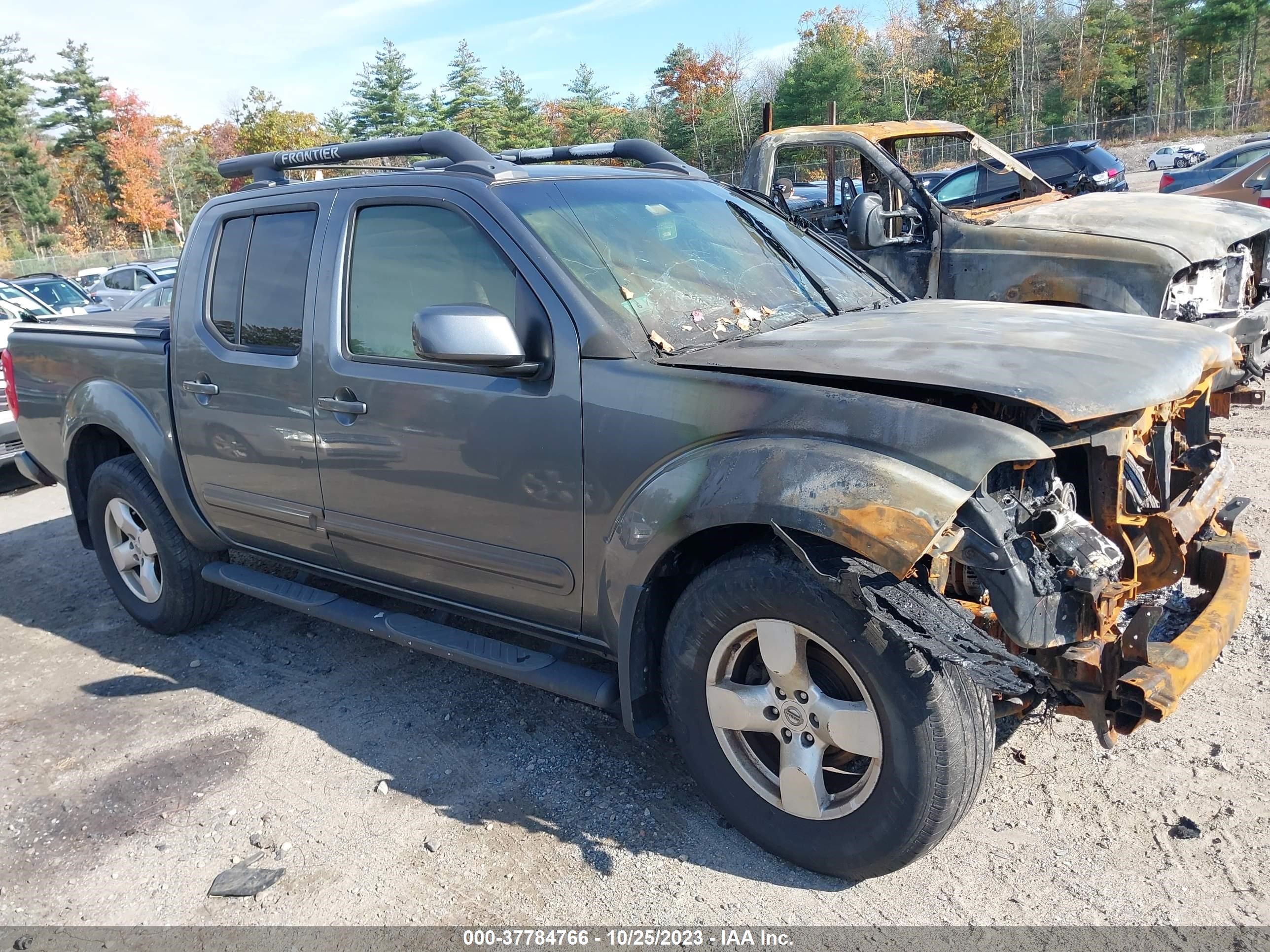 nissan navara (frontier) 2006 1n6ad07w66c474672