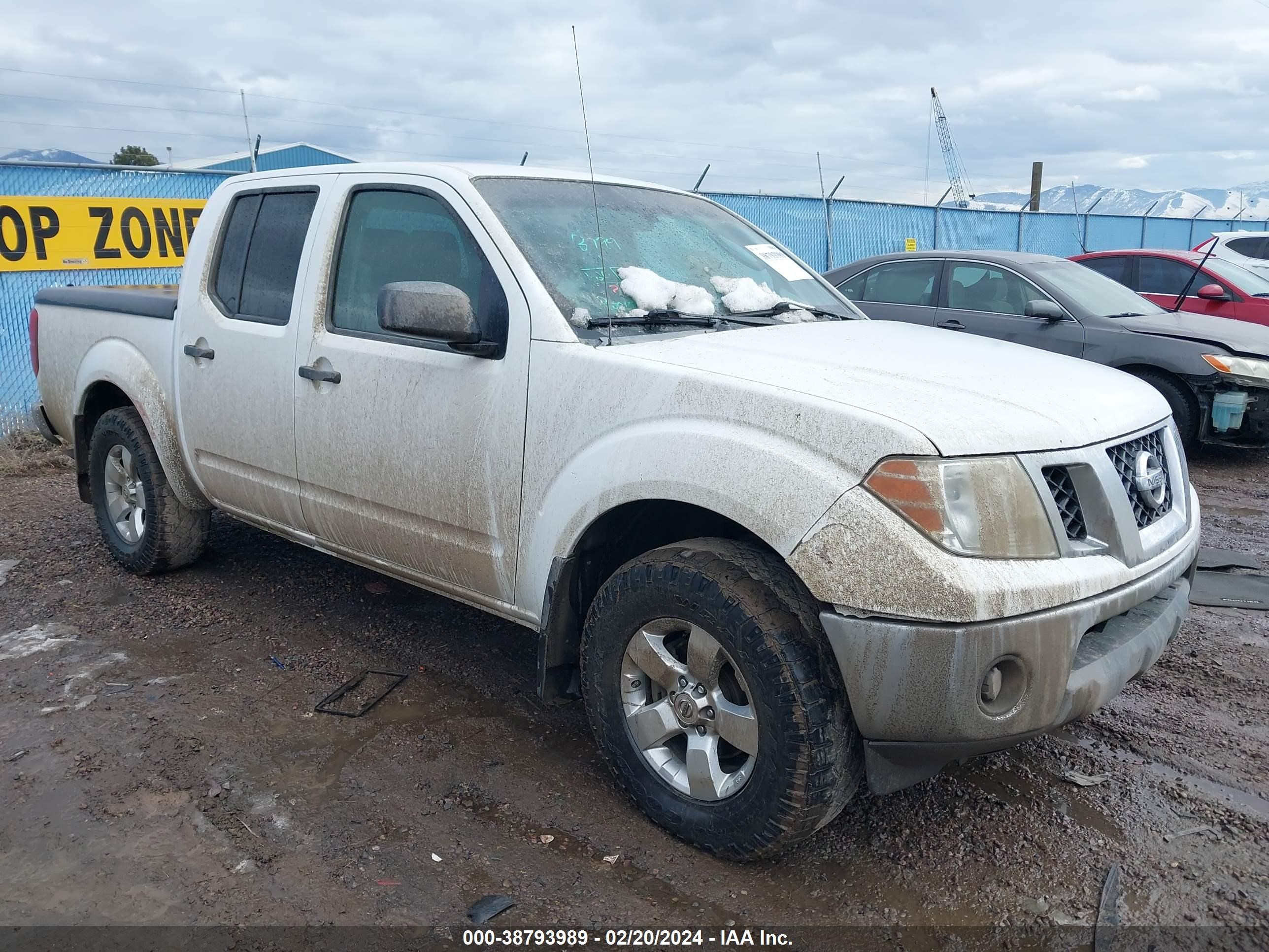 nissan navara (frontier) 2009 1n6ad07wx9c417167