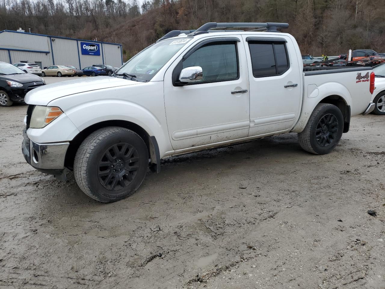 nissan navara (frontier) 2011 1n6ad0ev3bc452164