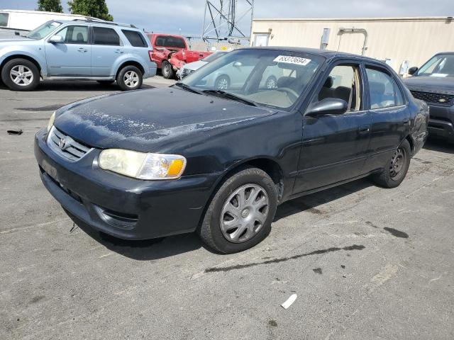 toyota corolla 2001 1nxbr12e11z555350