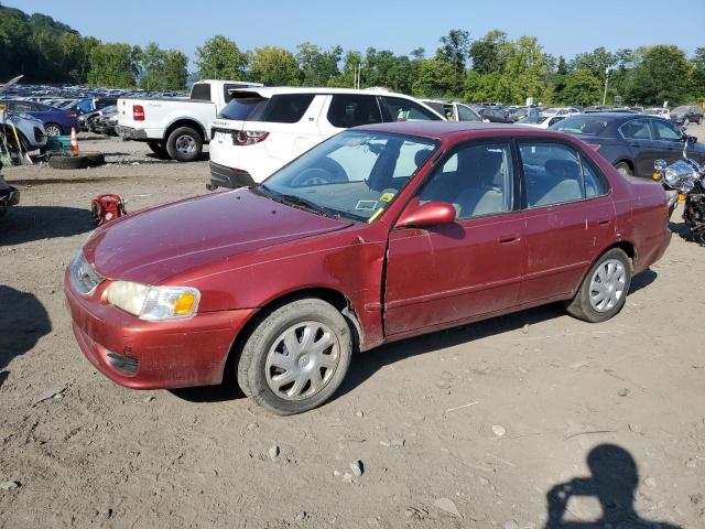 toyota corolla 2001 1nxbr12e91z515646