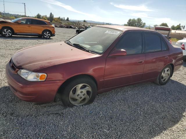 toyota corolla ve 1999 1nxbr18e0xz222833