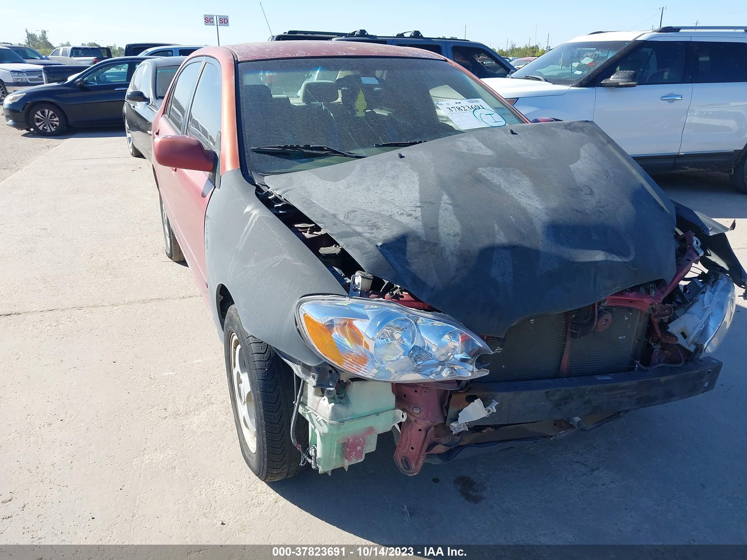 toyota corolla 2005 1nxbr32e65z543714