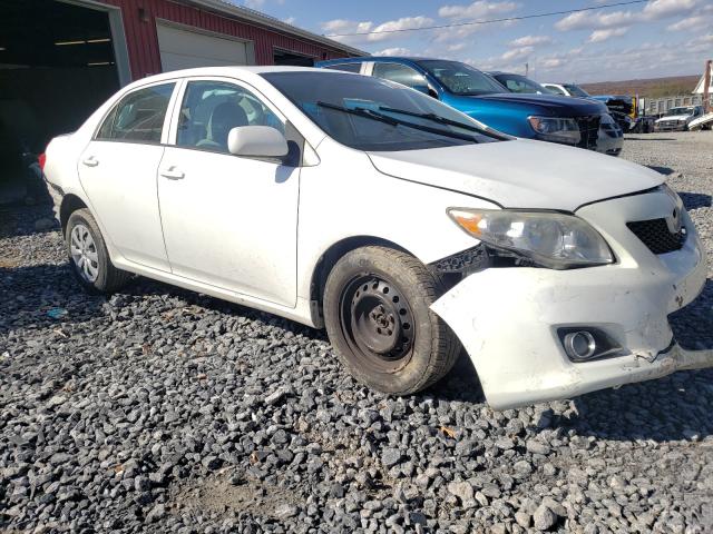 toyota corolla ba 2010 1nxbu4ee3az333355