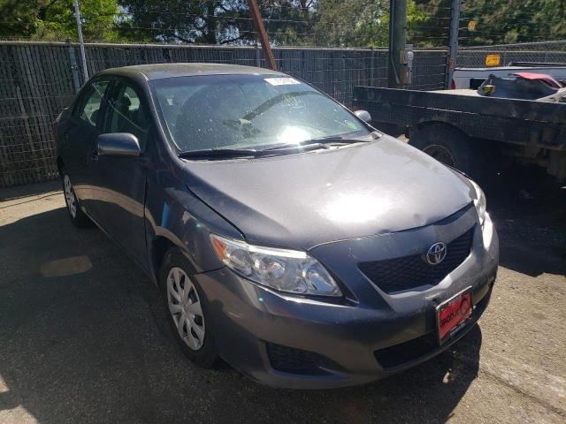 toyota corolla 2010 1nxbu4ee8az305888