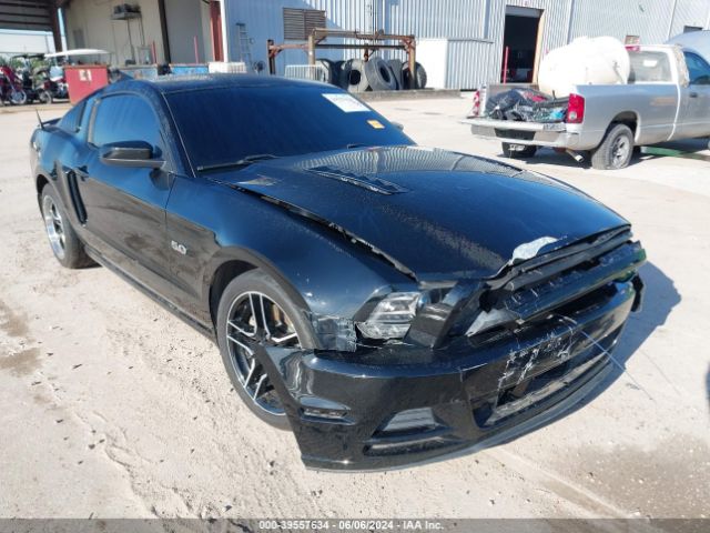 ford mustang 2013 1zdbt8cf3d5262250