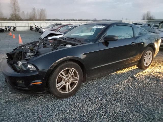 ford mustang 2013 1zvbp8am0d5217591