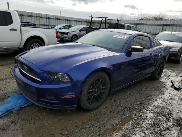 ford mustang 2013 1zvbp8am0d5250039