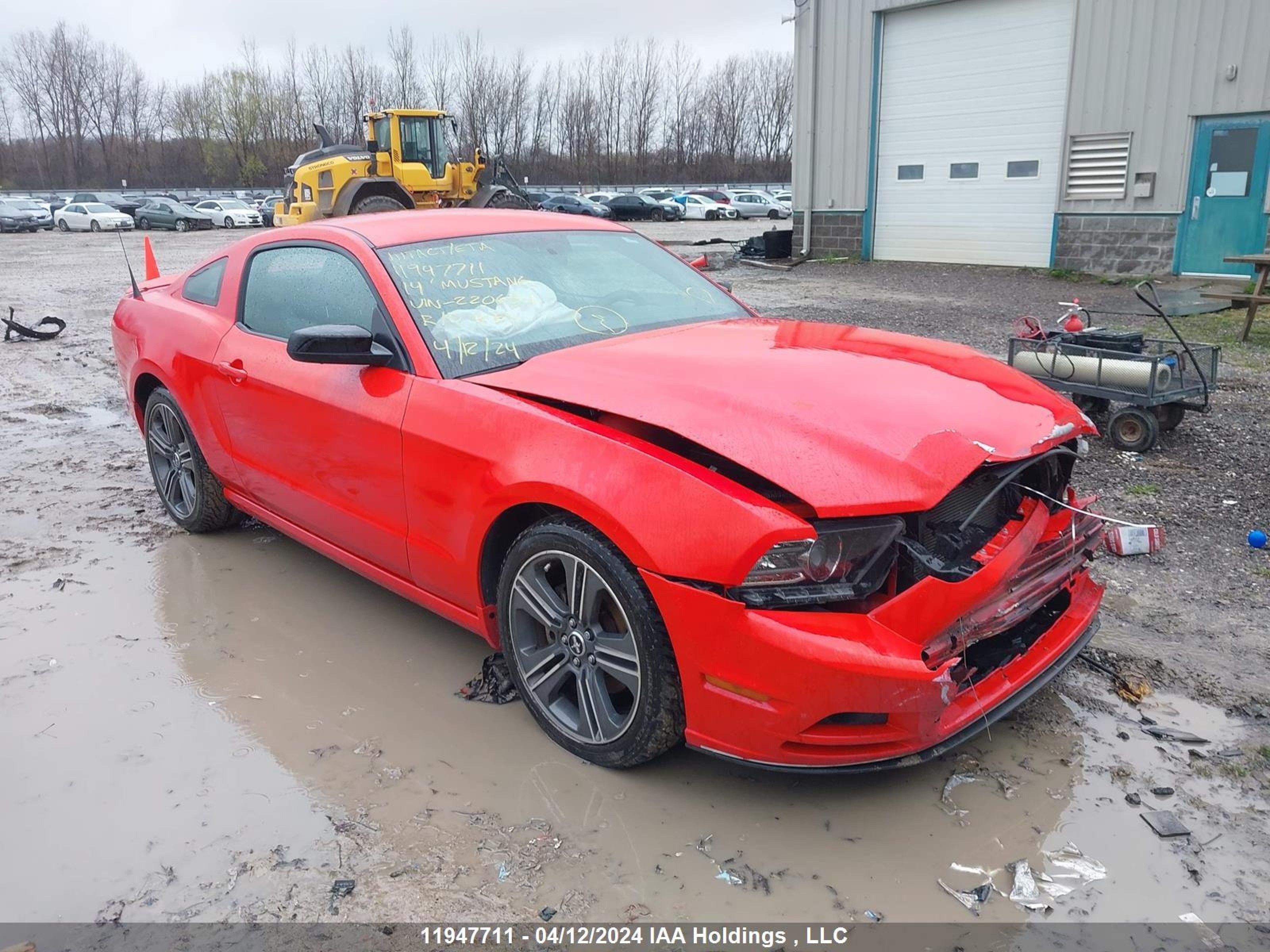 ford mustang 2014 1zvbp8am0e5220654