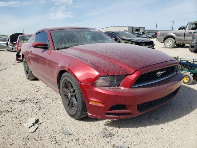 ford mustang 2014 1zvbp8am0e5234232