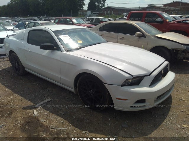 ford all models 2014 1zvbp8am0e5282751