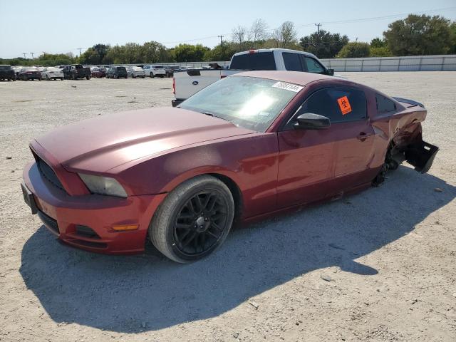 ford mustang 2014 1zvbp8am0e5309608