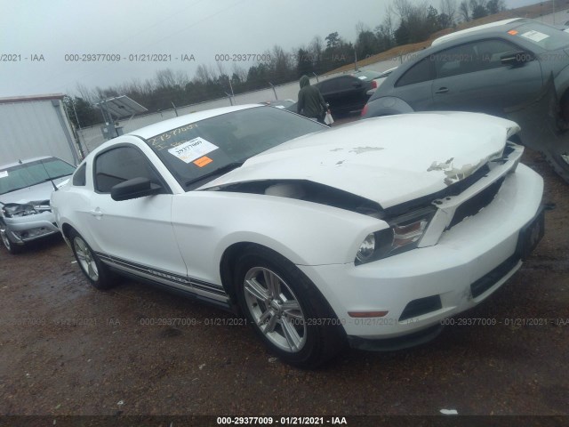 ford mustang 2011 1zvbp8am1b5160413