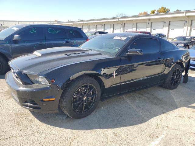 ford mustang 2013 1zvbp8am1d5278464