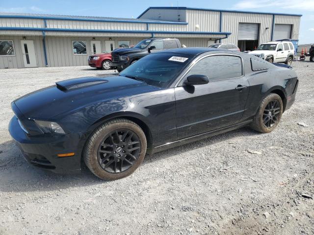 ford mustang 2014 1zvbp8am1e5261679