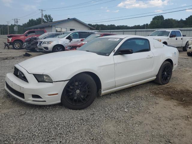 ford mustang 2014 1zvbp8am1e5313327