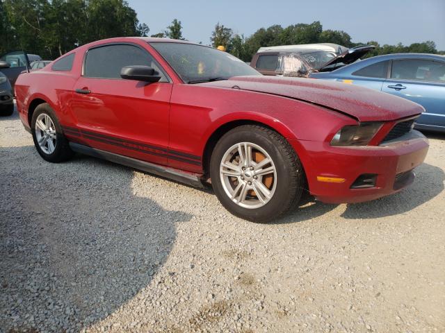 ford mustang 2011 1zvbp8am2b5140817