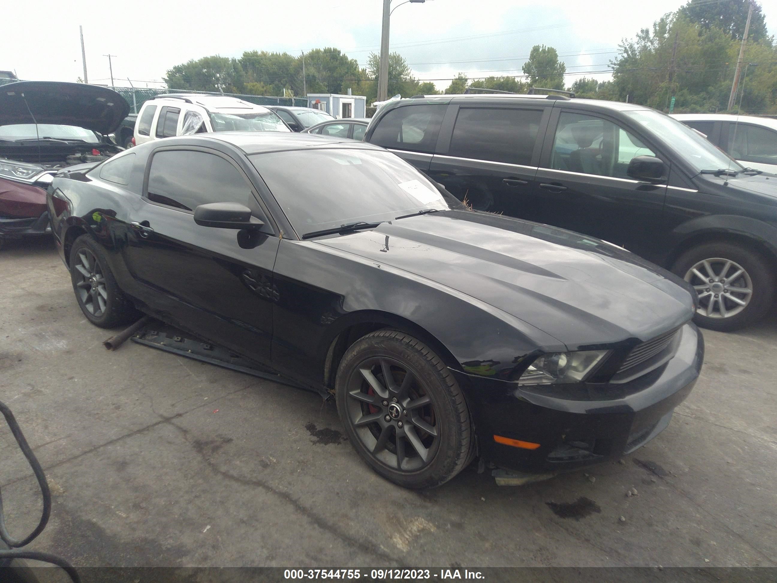 ford mustang 2011 1zvbp8am2b5143653