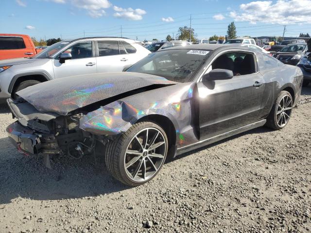 ford mustang 2013 1zvbp8am2d5251497