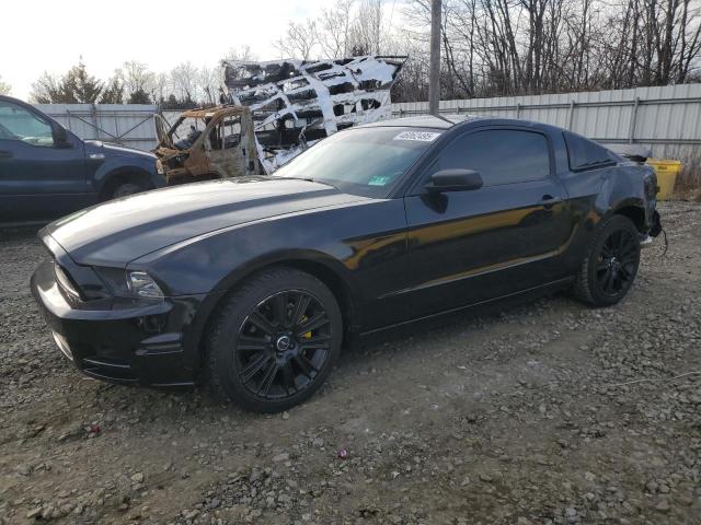 ford mustang 2014 1zvbp8am2e5202317