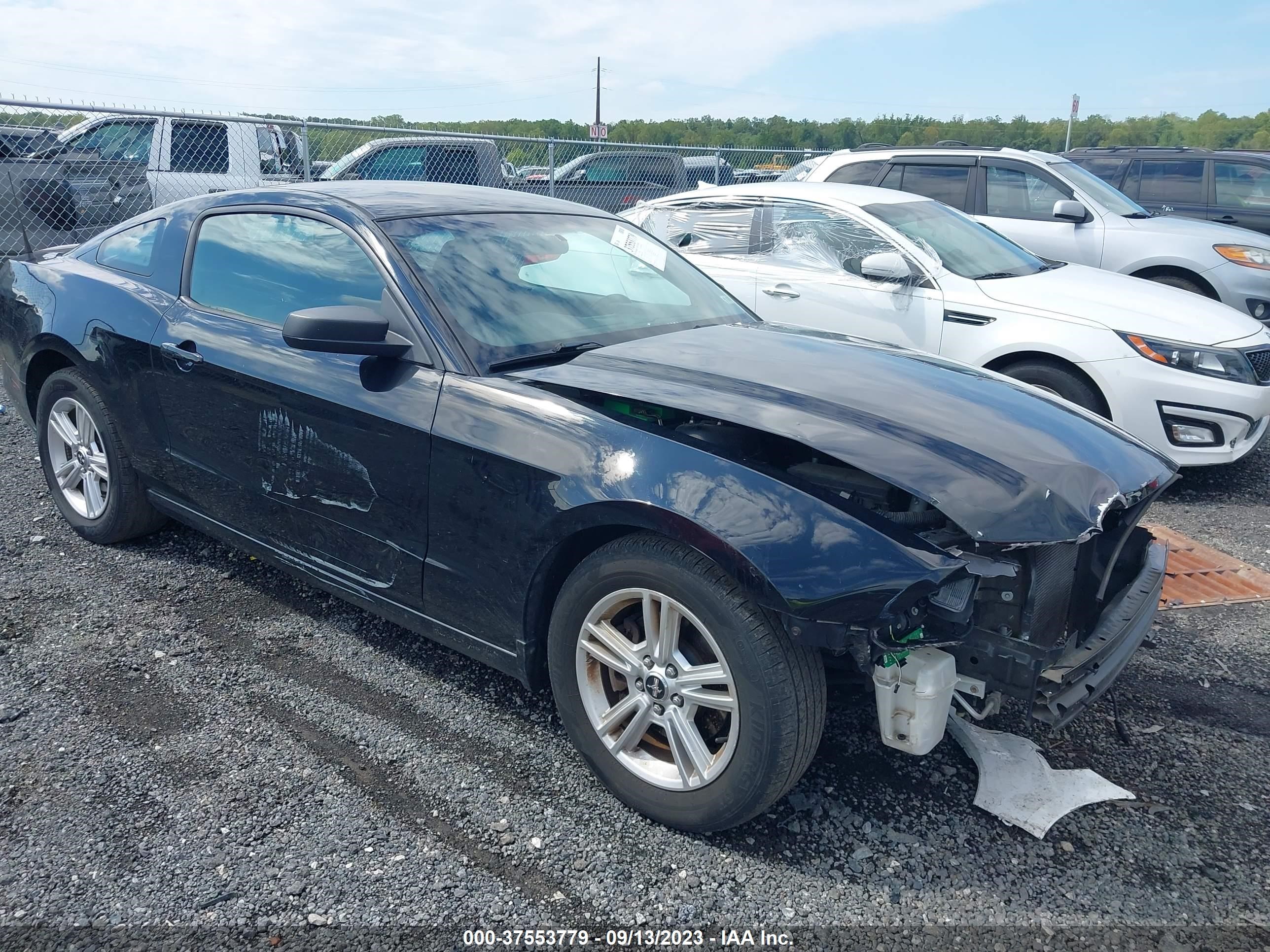 ford mustang 2014 1zvbp8am2e5223944