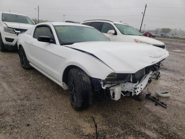 ford mustang 2014 1zvbp8am2e5321159