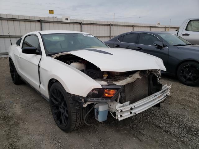 ford mustang 2011 1zvbp8am3b5138168