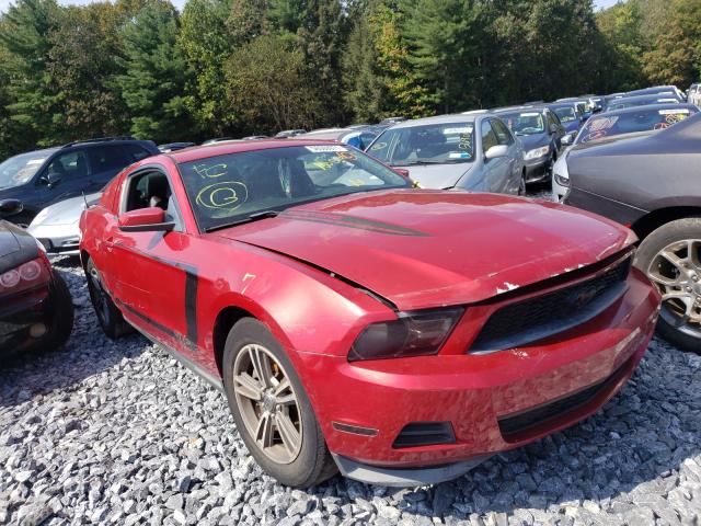 ford mustang 2011 1zvbp8am3b5166584