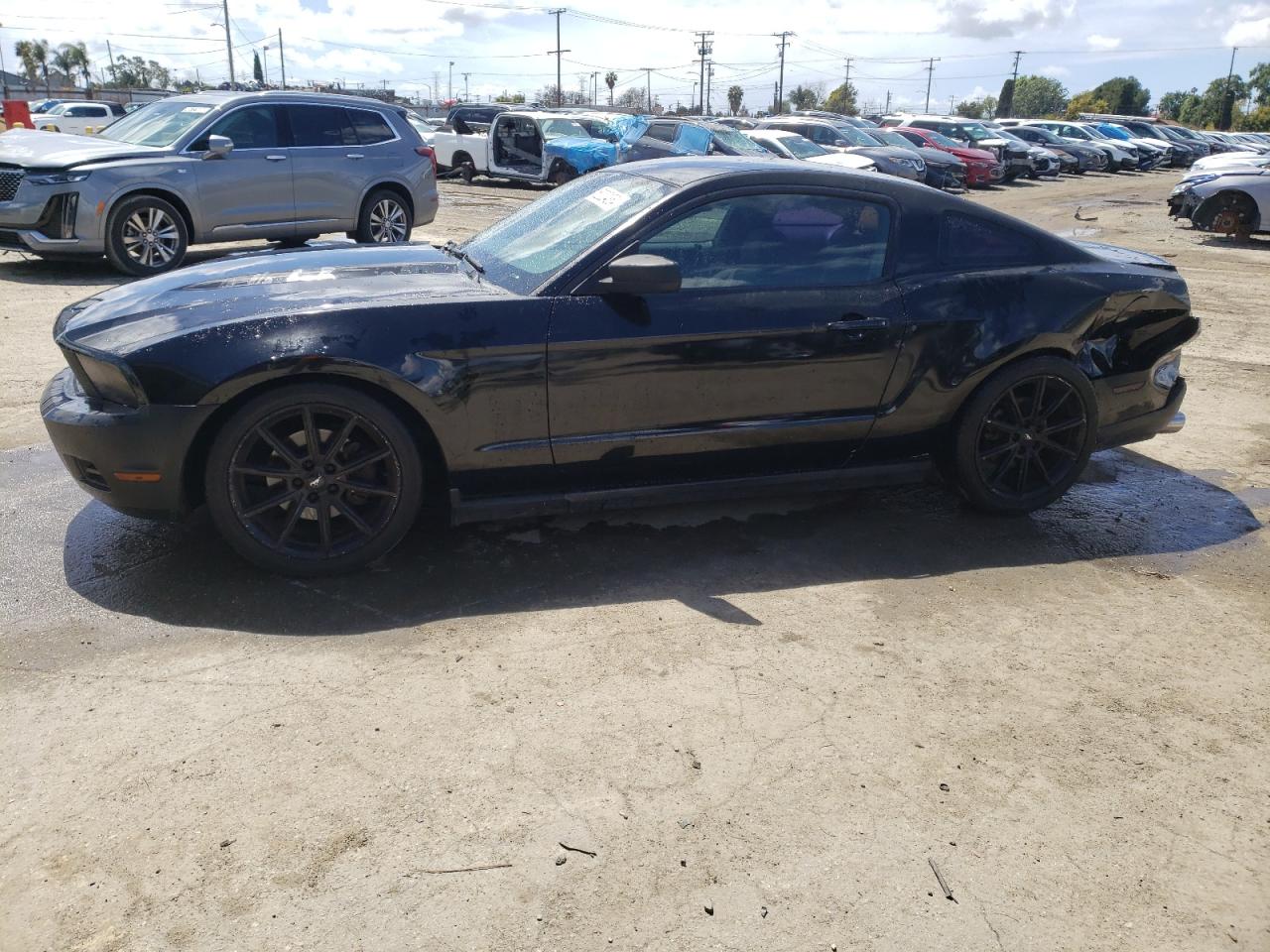 ford mustang 2012 1zvbp8am3c5247649