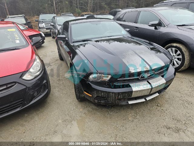 ford mustang 2012 1zvbp8am3c5281316