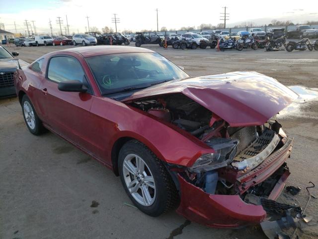 ford mustang 2014 1zvbp8am3e5254751