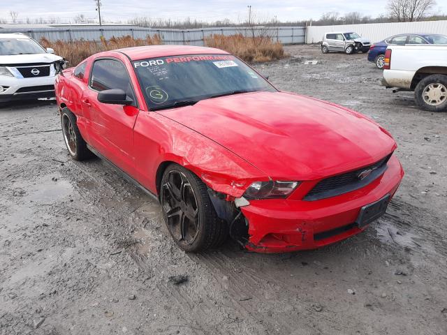 ford mustang 2011 1zvbp8am4b5109469