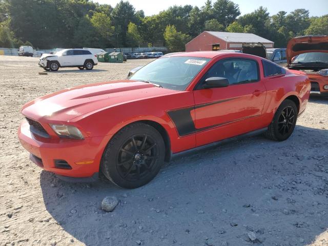 ford mustang 2011 1zvbp8am4b5132766