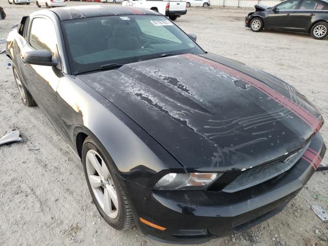 ford mustang 2011 1zvbp8am4b5154654