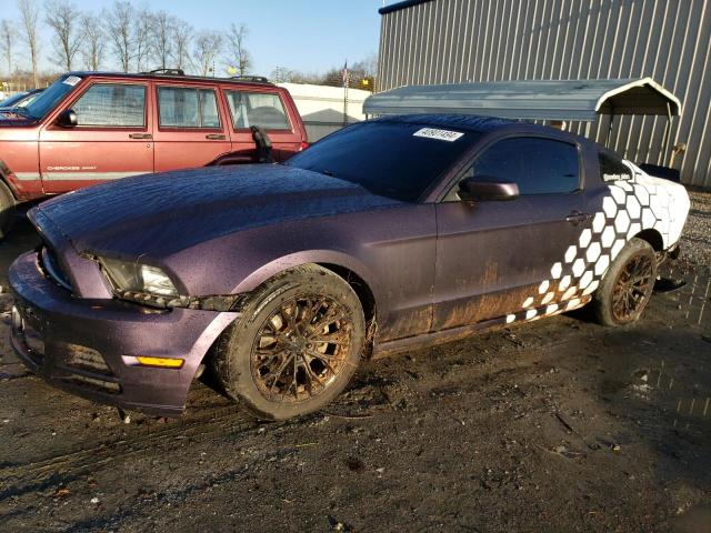 ford mustang 2013 1zvbp8am4d5253588