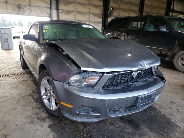 ford mustang 2011 1zvbp8am5b5134591