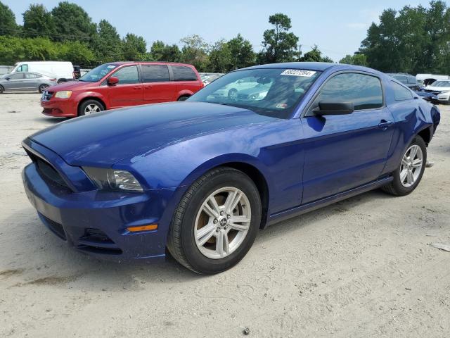 ford mustang 2013 1zvbp8am5d5213004