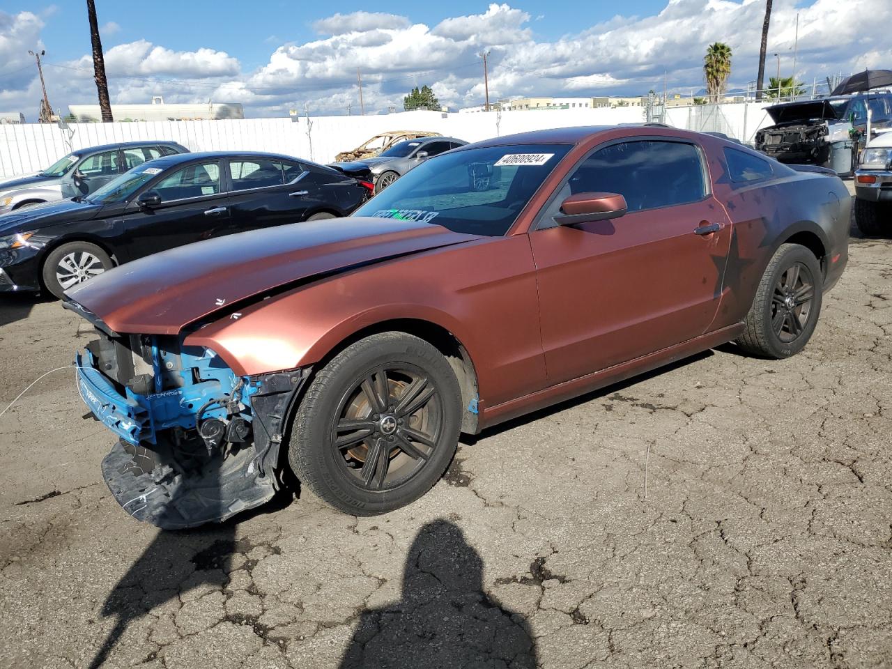 ford mustang 2013 1zvbp8am5d5217280