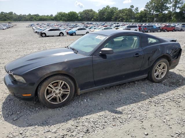 ford mustang 2011 1zvbp8am6b5101115