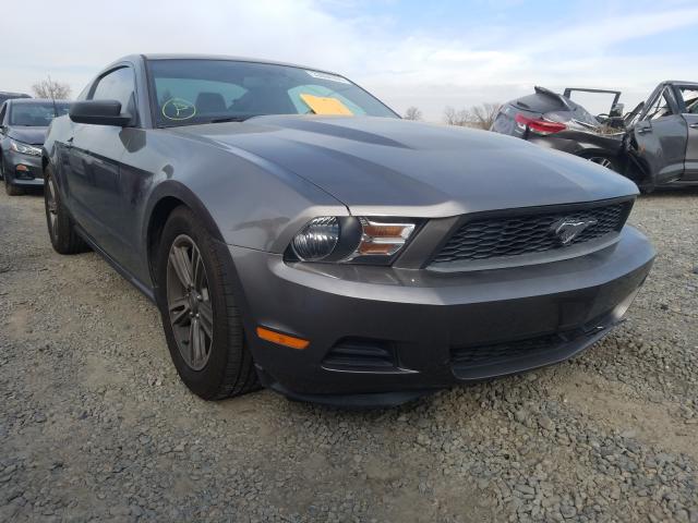 ford mustang 2011 1zvbp8am6b5125804