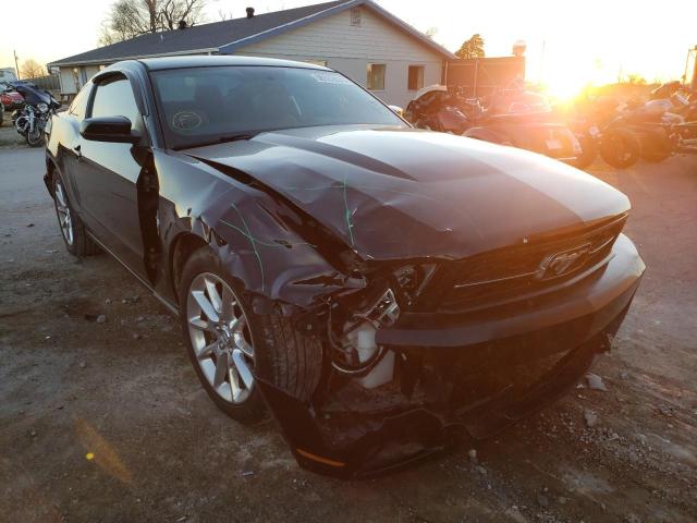 ford mustang 2011 1zvbp8am6b5155501