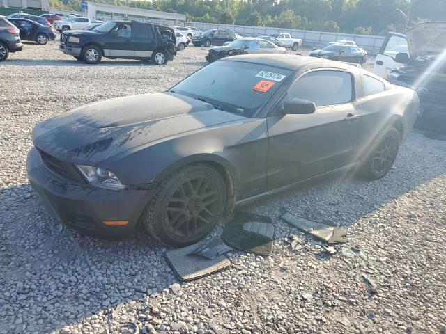 ford mustang 2012 1zvbp8am6c5281407