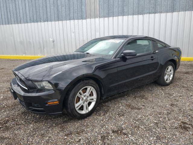 ford mustang 2013 1zvbp8am6d5202352